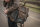 Jacks Inn 54 Hobo schwarz