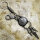 Jacks Inn 54 Eagle Claw Keyholder